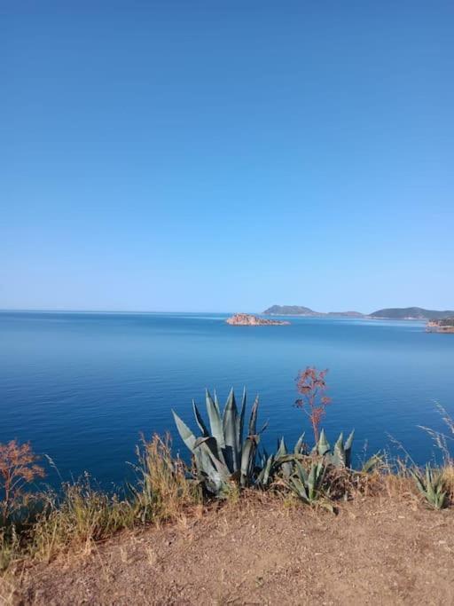 Gli Appartamenti Di Francuzzo Teulada Εξωτερικό φωτογραφία
